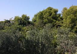 Apartmán A-5184-a