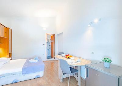 Studio AS-547-a