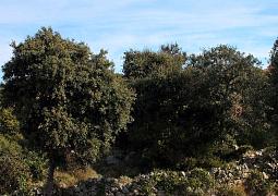 Apartmán A-4838-a