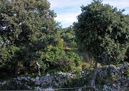Apartmán A-4838-a
