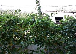 Apartmán A-5154-c