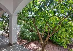 Apartmán A-21216-a