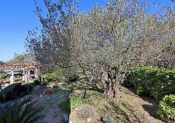 Studio AS-21543-a