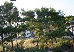 Apartmán A-2884-a