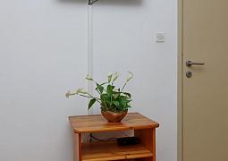 Apartmán A-24439-a