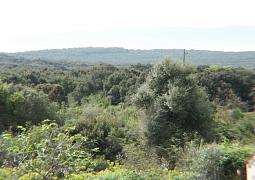 Apartmán A-383-a