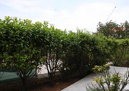 Apartmán A-3451-a