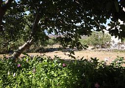 Apartmán A-382-c