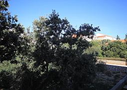 Apartmán A-9354-b